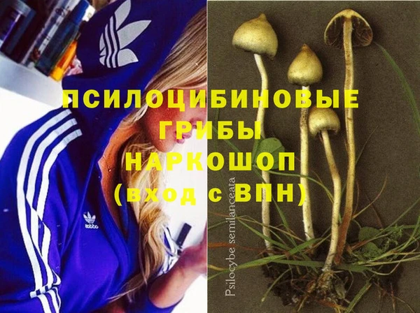 MESCALINE Белокуриха